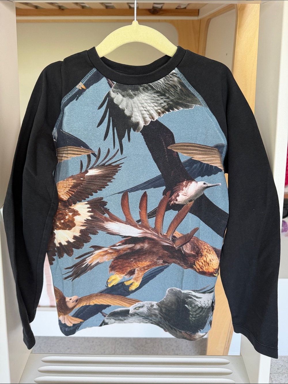 Molo Black Raglan Crewneck Sweater with Blue and Brown Eagle Print
